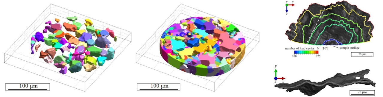 Figure 1. Reconstruction of austenitic and ferritic grain microstructure and of the fatigue crack.