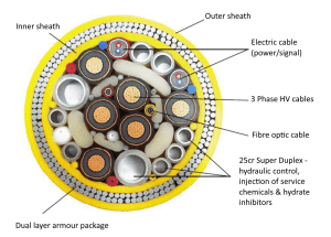 Cross section of a deep-sea umbilical.