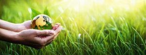 image of two hands holding a globe in front of a background of green grass