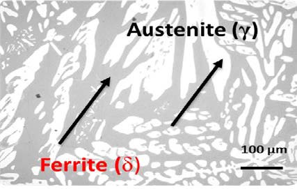 Fig 1. Optical micrograph of solution annealed sample at 1100°C for 2h, electrolytically etched with 20%NaOH (2.5V,10 seconds), bright area (austenite ), dark area (Ferrite )