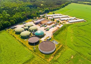 Bio-energy involves generating electricity by burning organic matter as a fuel source